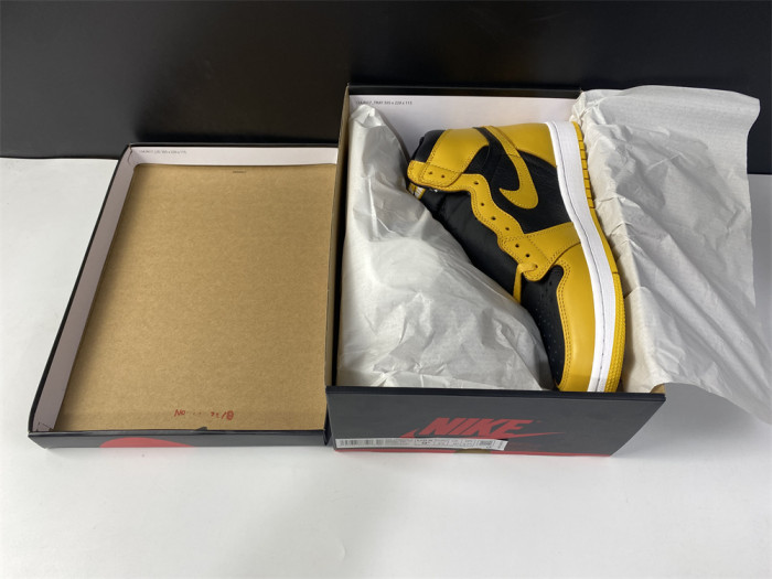 Air Jordan 1 Pollen 555088-701