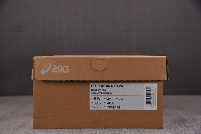 As*ic*s gel-kahana tr v4 "black silver"1203a585-100