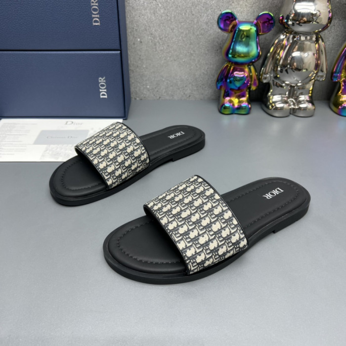 D10R slides