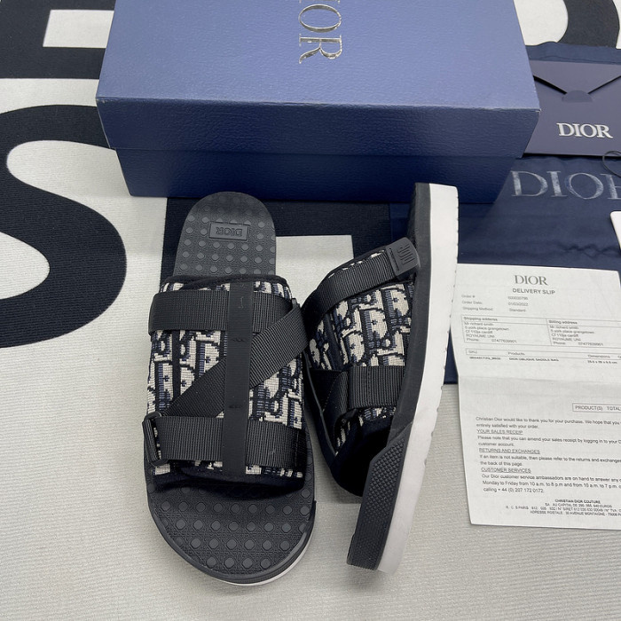 D10R slides